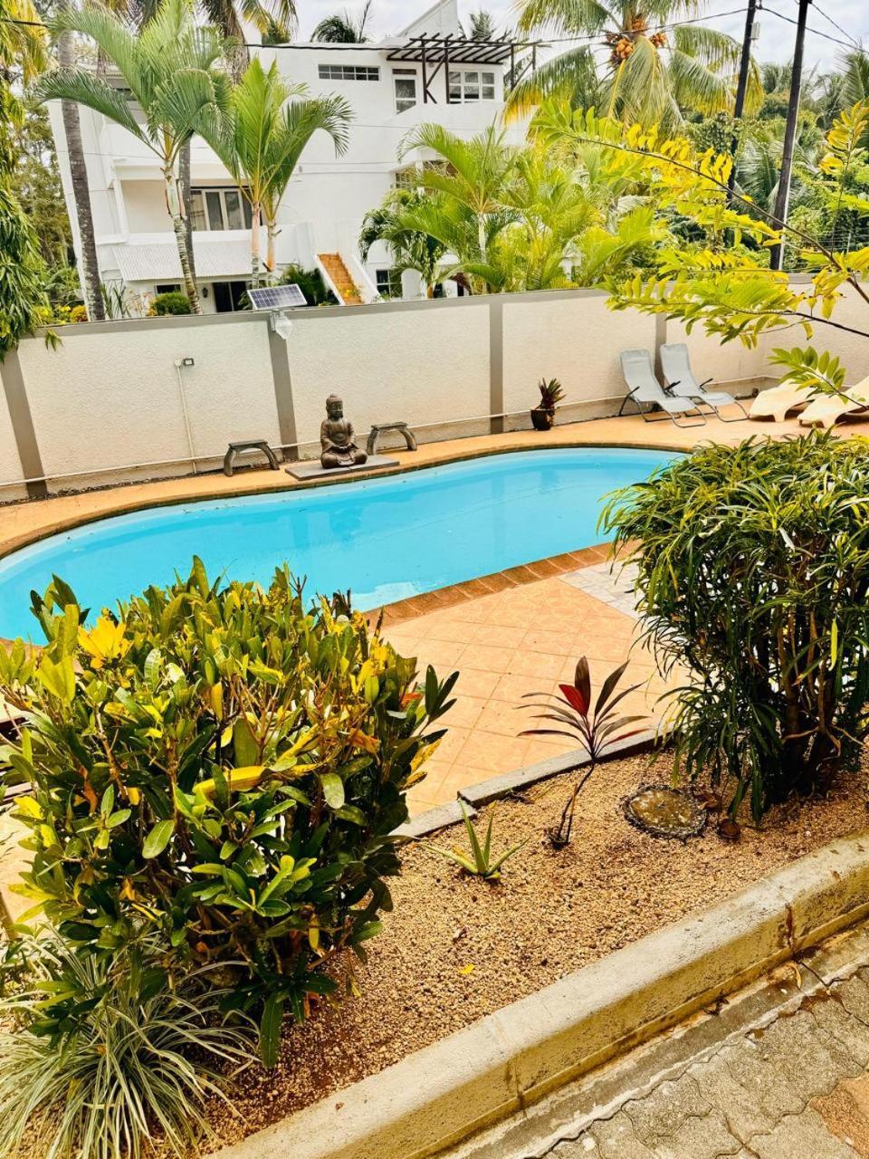 Residence Les Dodos تراوْ أوكس بيتْشيز المظهر الخارجي الصورة